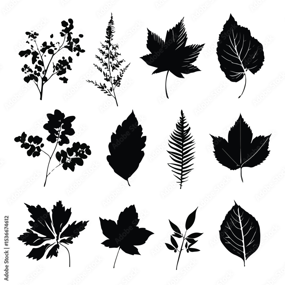 Obraz premium autumn leaf silhouette set, Black & White silhouette set