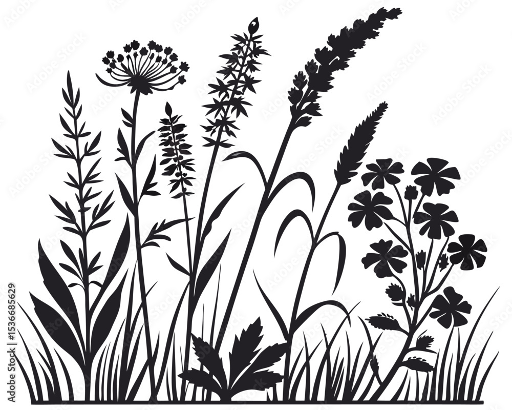 Naklejka premium Elegant Black Silhouettes of Meadow Wild Herbs and Wildflowers Design Template