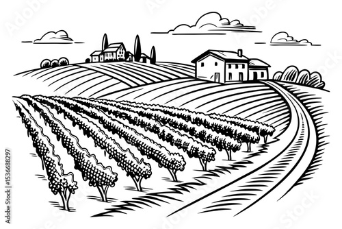 Hand drawn vineyard landscape. Isolated on white background. Vintage style vector illustration