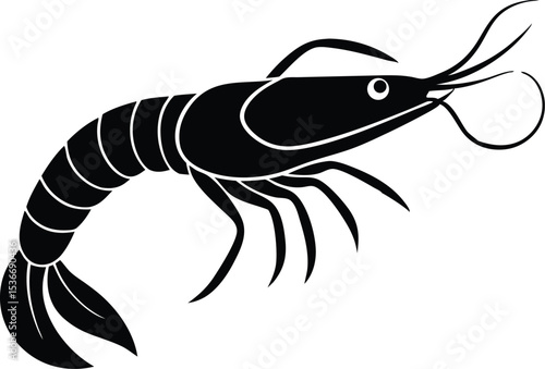 shrimp vector illustration