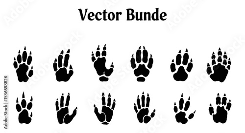 A collection of various animal paw prints, displayed in a grid format.