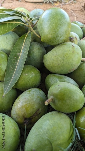 Asian tropical fruit with a background of green mango texture