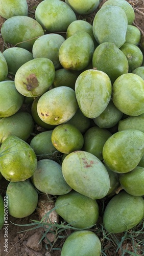 Asian tropical fruit with a background of green mango texture
