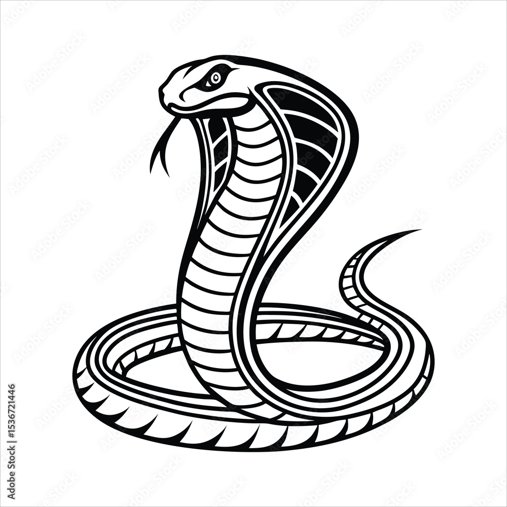 Fototapeta premium Elegant Fanged Cobra Snake 