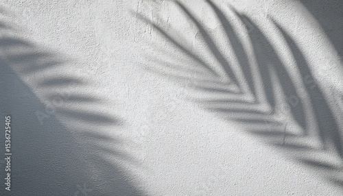white textured concrete wall surface with soft shadow of palm leaf backdrop or background in minimalist style for design