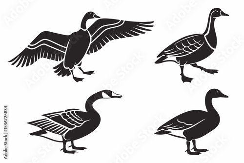 set of geese