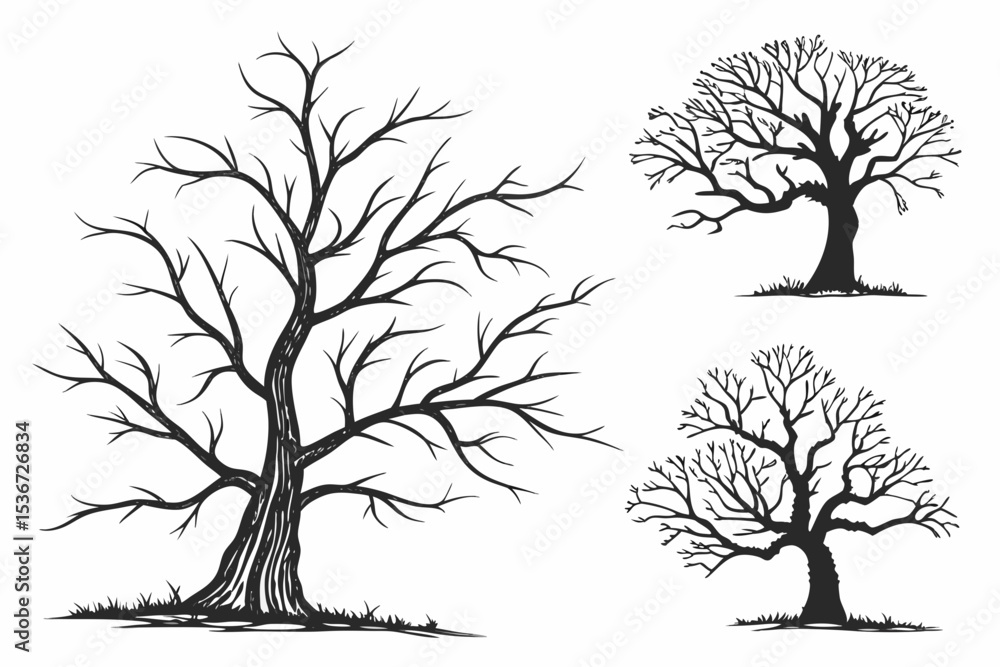 Fototapeta premium set of trees