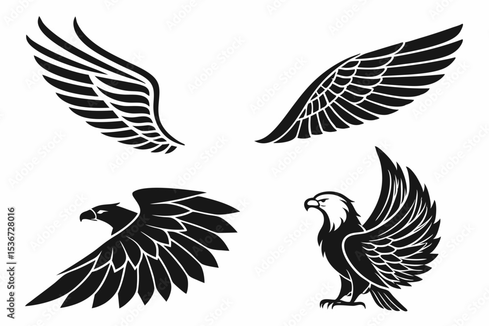 Fototapeta premium set of eagle