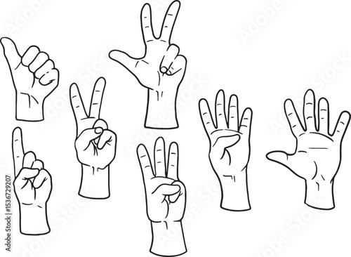 Collection of hand gesture line art, perfect for icons, illustrations, or educational materials. Includes various poses like thumbs up, pointing, peace, and open palms, offering diverse communication.