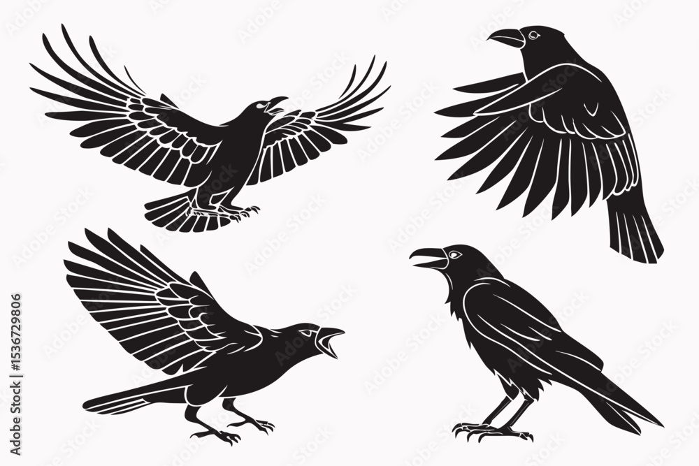 Fototapeta premium set of birds