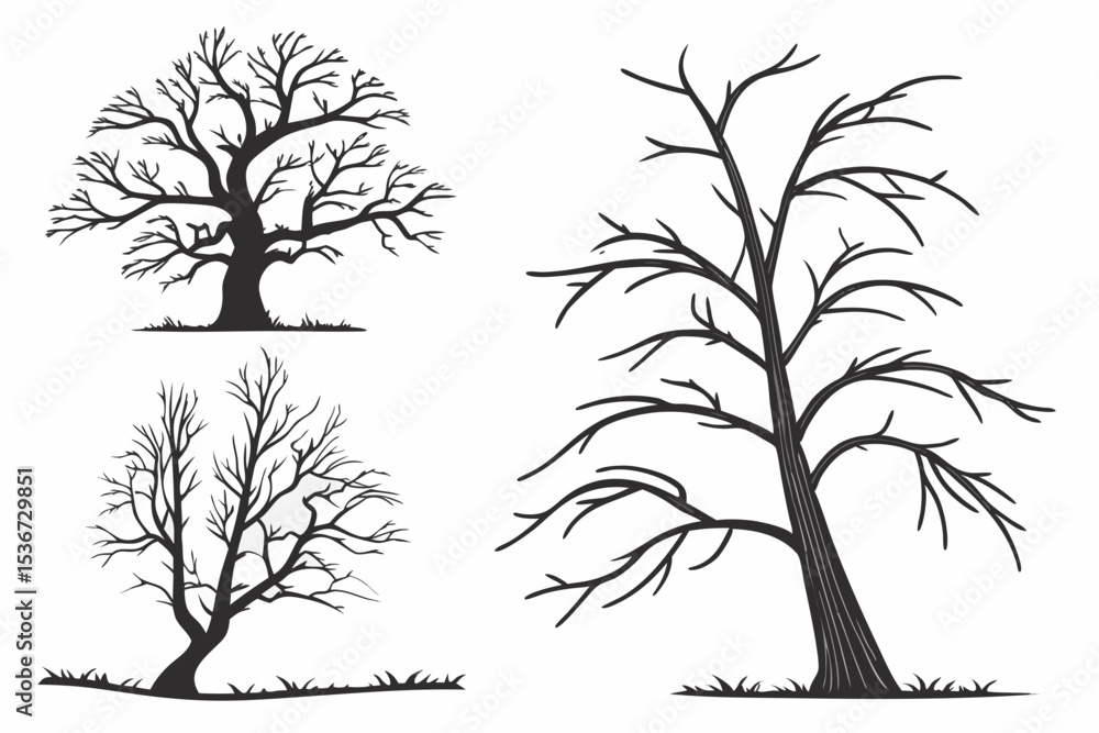 Obraz premium set of trees