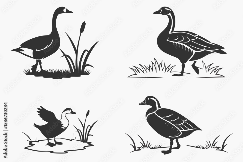 set of birds set of birds