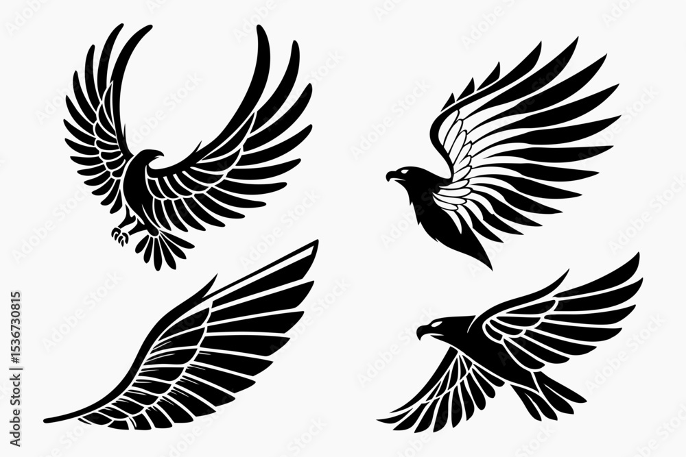 Obraz premium set of birds