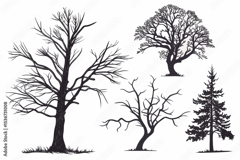 Obraz premium vector tree silhouette