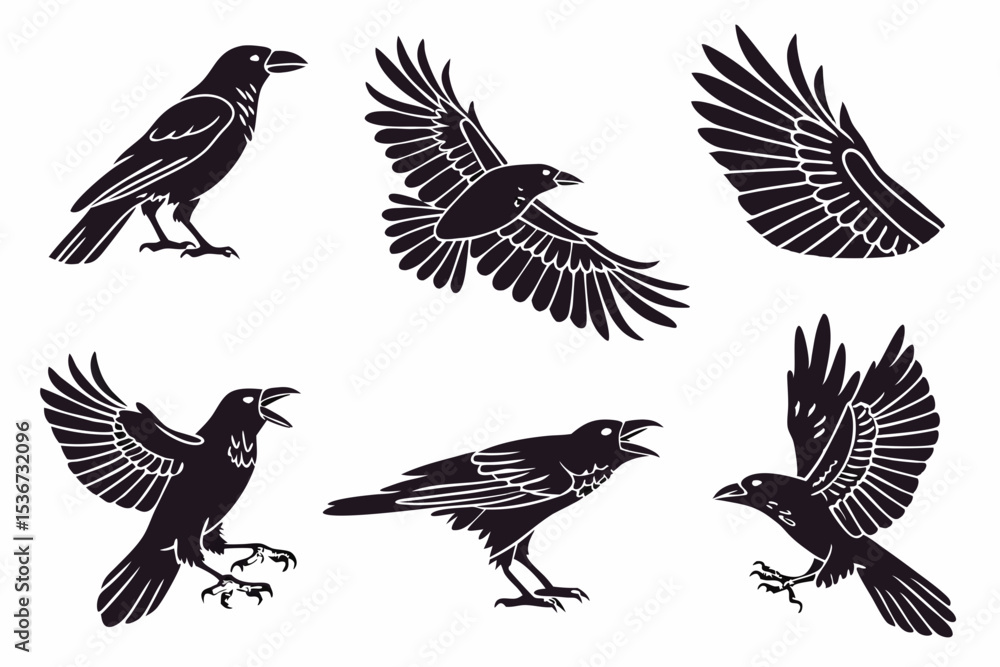 Fototapeta premium set of birds