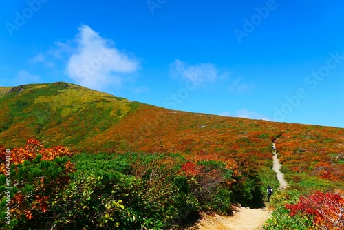 栗駒山の紅葉。栗原、宮城、日本。9月下旬。