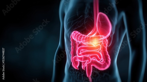 Wallpaper Mural Human Digestive System Highlighted with Inflammation Focus in 3D Illustration Torontodigital.ca