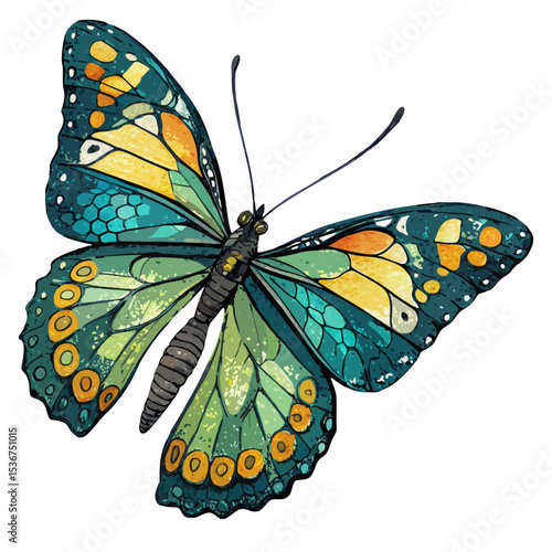 A Top view with colorful butterfly