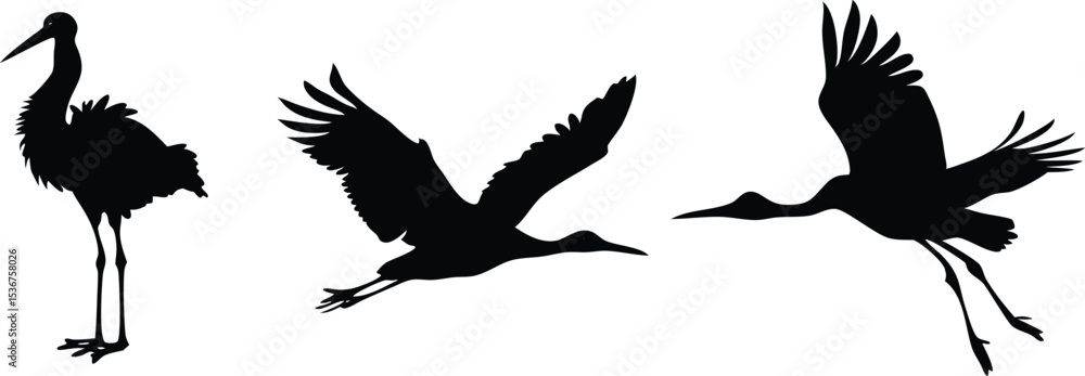 Obraz premium Stork bird silhouettes vector design.