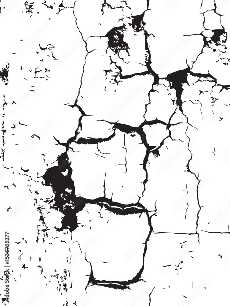 Obraz premium Cracked Texture Abstract Black and White Background