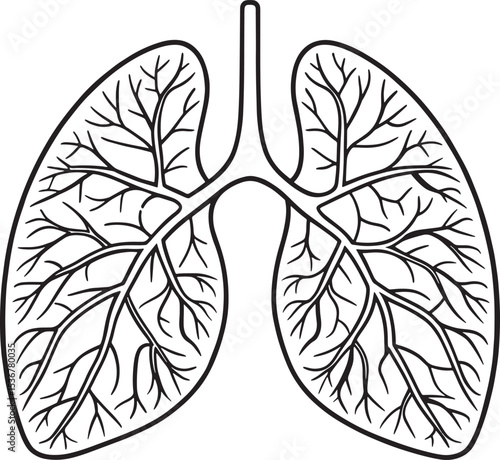 Lungs are vital human organs crucial for health and breathing represented by a simple anatomical outline.