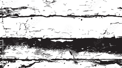 Grunge Texture Black and White Distressed Overlay