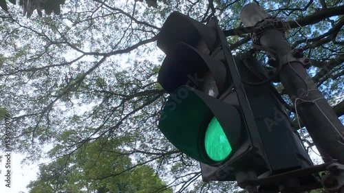 Green Light Glowing Underneath a Tree Canopy View Establishing Shot