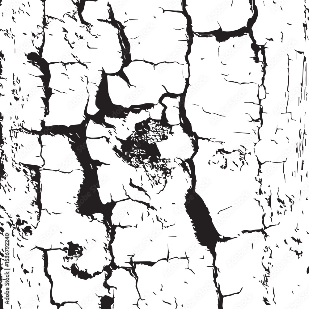 Fototapeta premium Cracked Texture Monochrome Abstract Background