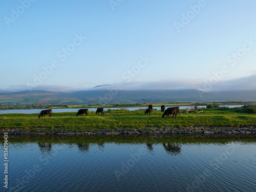 Grazing cattle rest peacefully by a serene lake, framed by soft hills and a pastel sky in the calm light of early evening