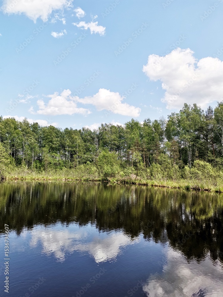 Fototapeta premium lake in the forest