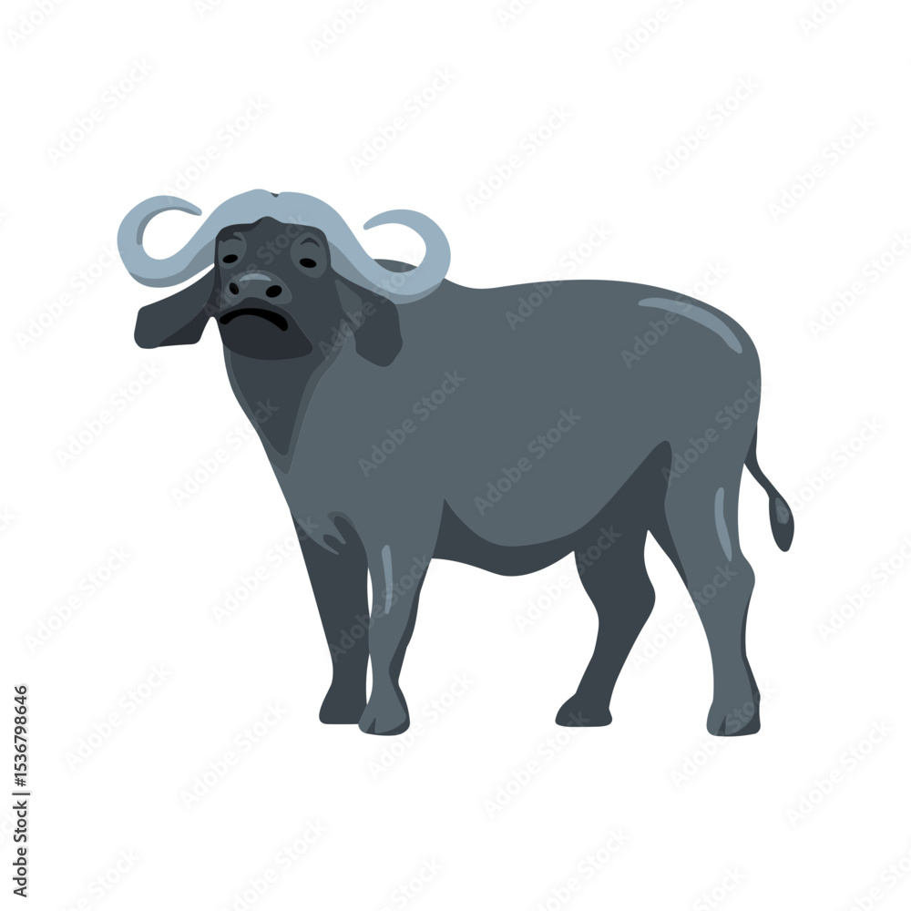 Obraz premium Water Buffalo