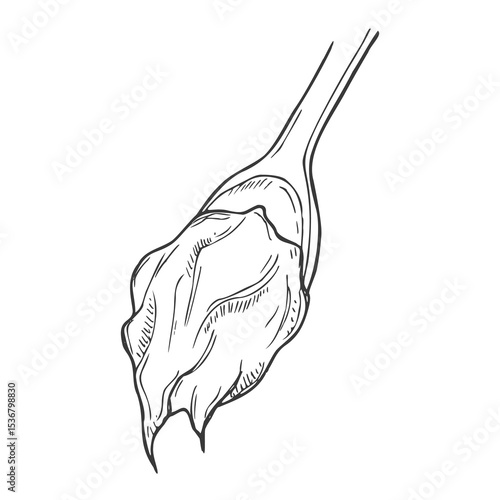 Peanut butter spoon hand drawn. spread cream, bread hazelnut, jar bowl, knife butter, nut creamy chocolate paste spoon vector sketch. isolated black illustration
