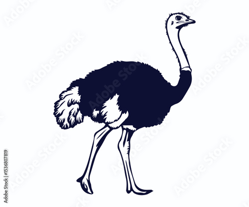 ostrich vector illustration, silhouette of ostrich vector art