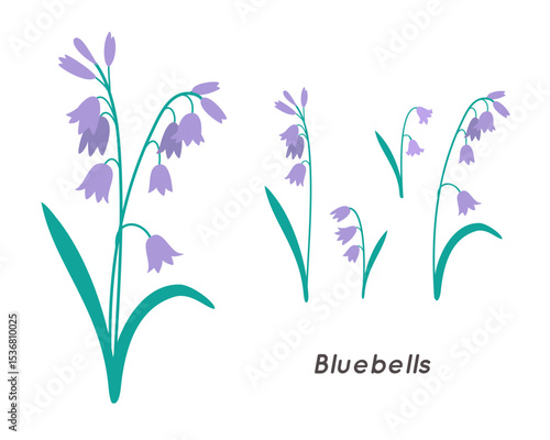 Bluebells Minimalist Floral Illustration. Trendy Botanical Vector Art.
