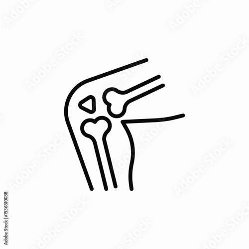 knee structure icon sign vector