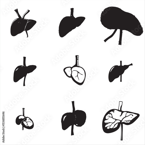 set of human liver