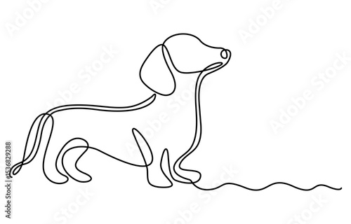 Dachshund dog continuous one line vector drawing. Single line art dachshund dog. Graphic illustration