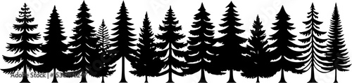 Pine Tree Silhouettes in Natural Forest Formation

