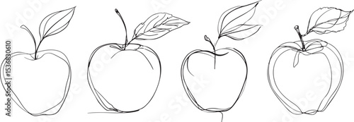 apple black white line art isolated on white background