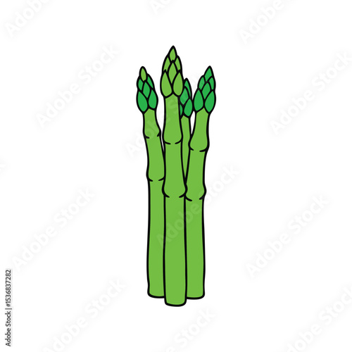 asparagus on white background