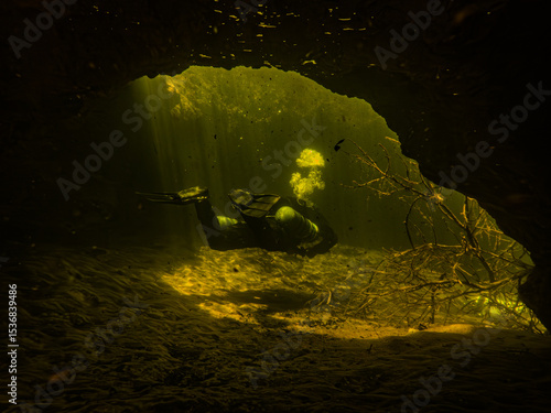 Tableau sur toile Local sidemount cave diver swims through the clear tannic yellow waters of rocky