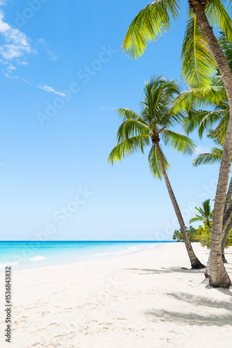 Fototapeta Naklejka Na Ścianę i Meble -  Amazing white sand beach with coconut palm trees and Caribbean sea shore on Saona island in Dominican Republic. Summer holiday beach concept.