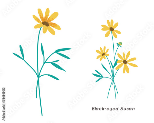 Black-eyed Susan Minimalist Floral Illustration. Trendy Botanical Vector Art.
