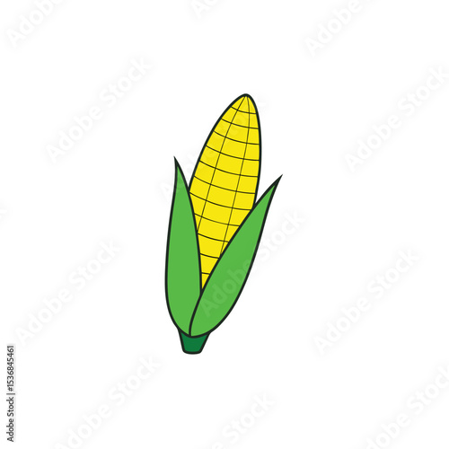 three corn cobs isolated on white