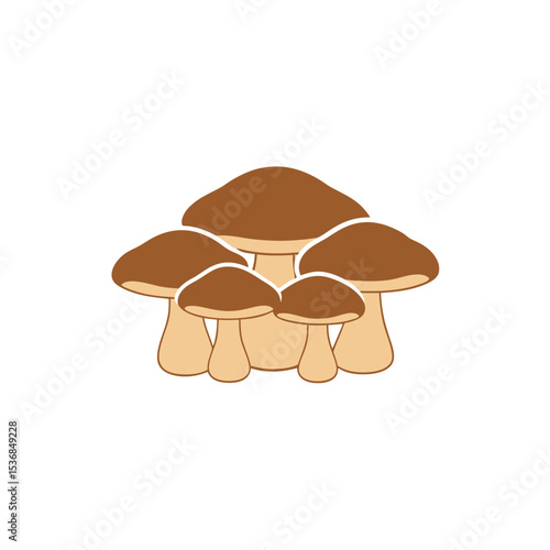 mushrooms in the grass