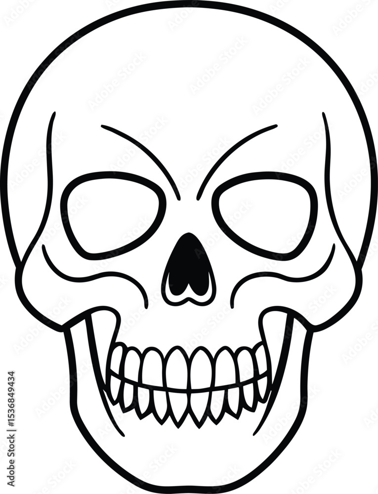 Fototapeta premium Skull Line Art – Detailed Human Skull Vector Illustration