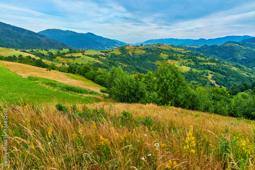 Fototapeta premium Wildflower Meadow Mountain Landscape View