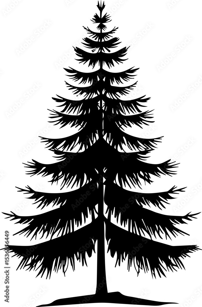 Pine tree silhouette in black and white vector illustration Pine tree silhouette in black and white vector illustration