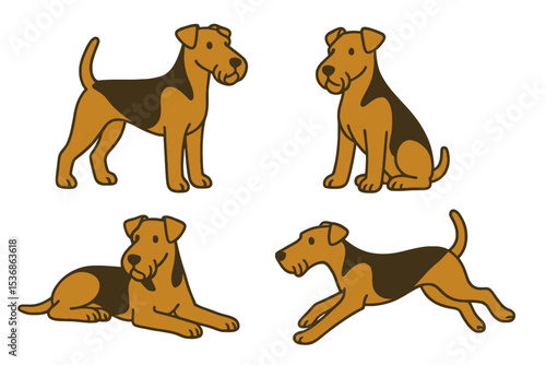 Airedale Terrier dogs in different poses showcasing various stances  