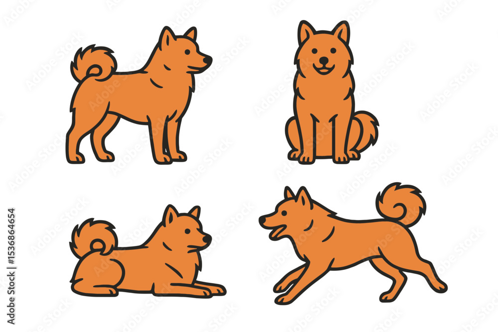Fototapeta premium Finnish Spitz in different poses and expressions on a transparent background